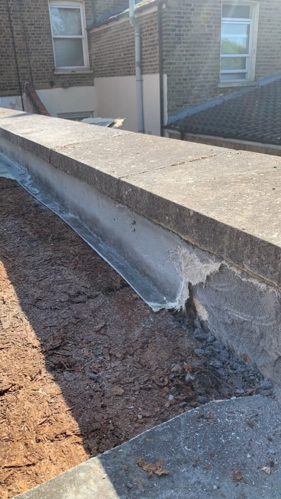 rotted roof